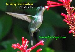 Photo by Hilda Morales.